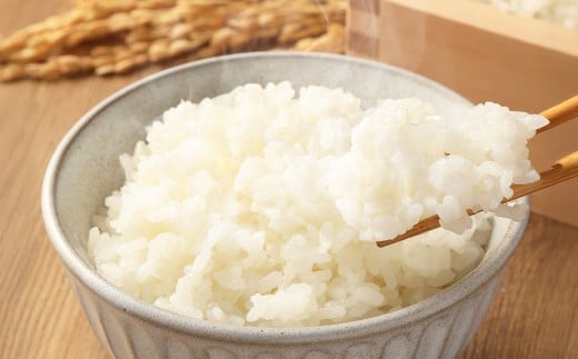 岡山県美咲町産 棚田百選「小山の棚田米」10kg ／ 令和7年産米先行予約 白米 【2025年11月上旬より順次発送予定】