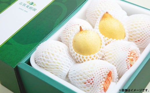 鴨梨 （ヤーリー） 6～10玉 約4kg 贈答箱 ／ 梨 なし ナシ 果物  【2025年11月下旬～12月下旬発送予定】