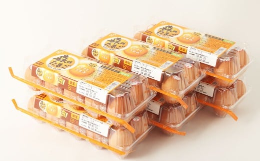 森のたまご(赤玉) 60個(10個入り×6パック) / 国産 赤卵 卵 タマゴ