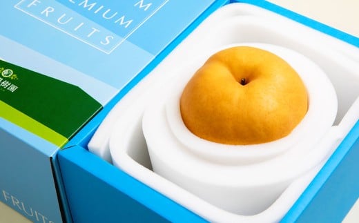 備前横綱梨 （あたご梨） 超大玉 1玉 約1kg～1.4kg 贈答箱 ／ 愛宕梨 梨 なし ナシ 果物  【2025年11月下旬～12月下旬発送予定】