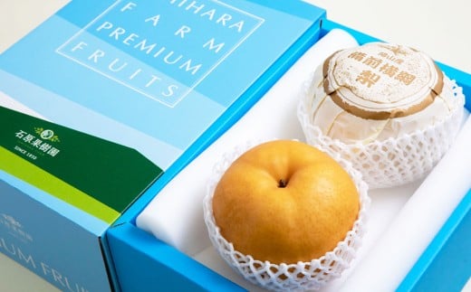 備前横綱梨 （あたご梨） 超大玉 2玉 約1kg～1.4kg 贈答箱 ／ 愛宕梨 梨 なし ナシ 果物  【2025年11月下旬～12月下旬発送予定】