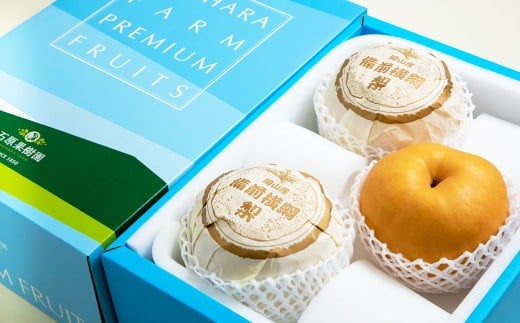 備前横綱梨 （あたご梨） 超大玉 3玉 約1kg～1.4kg 贈答箱 ／ 愛宕梨 梨 なし ナシ 果物  【2025年11月下旬～12月下旬発送予定】