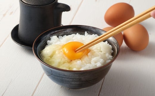 《1人暮らし用》 森のたまご(赤玉) 12個(6個入り×2パック) / 国産 赤卵 卵 タマゴ