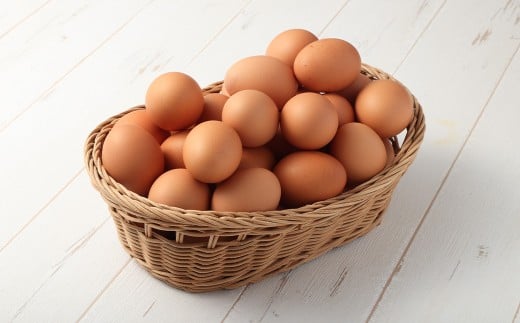 【3ヶ月定期便】 《1人暮らし用》 森のたまご(赤玉) 12個(6個入り×2パック) / 3回 計36個 国産 赤卵 卵 タマゴ