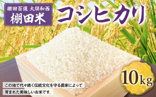★ 令和6年 新嘗祭 献納農家 が作った お米 ★ 棚田百選 大垪和西 棚田米 10kg （コシヒカリ）【 令和7年産 】／ 白米 米 岡山県 美咲町