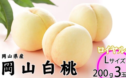 岡山白桃 ロイヤル 3玉 × 約200g 計約600g 岡山県産 （早生種・中生種） 【2026年7月上旬～8月下旬迄発送予定】 ／ 白桃 桃 もも 果物 果実 フルーツ 岡山県 美咲町 冷蔵