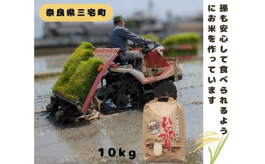 「ひのひかり」白米 10kg 志埜さんが丹精込めて作った 米 奈良県 三宅町 ヒノヒカリ おいしい 冷めても もちもち 堆肥ミネラル栽培米