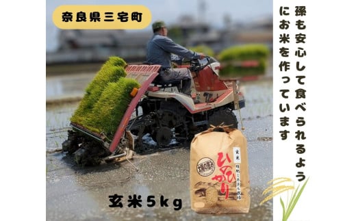 「ひのひかり」玄米 5kg 志埜さんが丹精込めて作った 米 奈良県 三宅町 ヒノヒカリ おいしい 冷めても もちもち 堆肥ミネラル栽培米