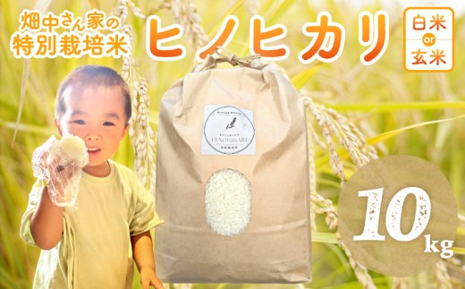 畑中さんがこだわり抜いて育てた 特別栽培米（減農薬米） ｢ひのひかり｣  白米 玄米 可 10㎏ 奈良県 三宅町 ヒノヒカリ：玄米