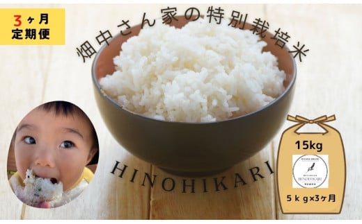 【3ヶ月定期便】特別栽培米（減農薬米） ｢ひのひかり｣ 白米 玄米 可 5kg 奈良県 三宅町 ヒノヒカリ おいしい 冷めても もちもち 安心：白米