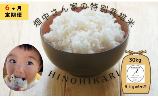 【6ヶ月定期便】特別栽培米（減農薬米） ｢ひのひかり｣ 白米 玄米 可 5kg 奈良県 三宅町 ヒノヒカリ おいしい 冷めても もちもち 安心：玄米