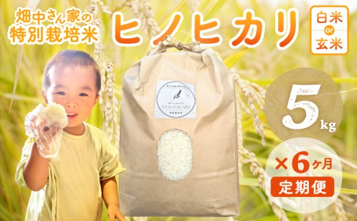 【6ヶ月定期便】特別栽培米（減農薬米） ｢ひのひかり｣ 白米 玄米 可 5kg 奈良県 三宅町 ヒノヒカリ おいしい 冷めても もちもち 安心：玄米