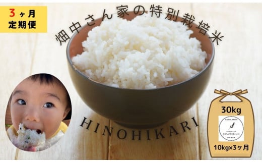 【3ヶ月定期便】特別栽培米（減農薬米） ｢ひのひかり｣ 白米 玄米 可 10kg 奈良県 三宅町 ヒノヒカリ おいしい 冷めても もちもち 安心：玄米