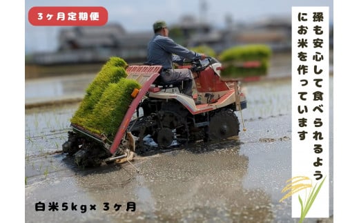 【3回定期便】「ひのひかり」白米 5kg × 3ヶ月 連続でお届け 全15kg 奈良県 三宅町 志埜米穀店 ヒノヒカリ 冷めてもおいしい もちもち 堆肥ミネラル栽培米