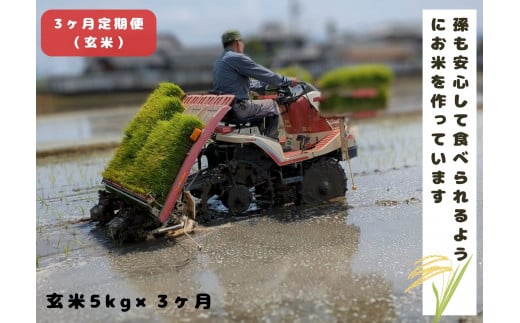 【3回定期便】「ひのひかり」玄米 5kg × 3ヶ月 連続でお届け 全15kg 奈良県 三宅町 志埜米穀店 ヒノヒカリ 冷めてもおいしい もちもち 堆肥ミネラル栽培米