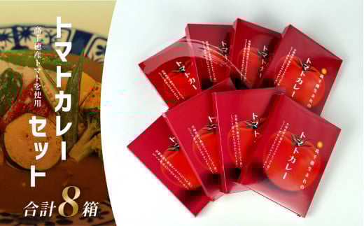 トマトカレー8箱セット | トマト カレー レトルト 8食 おうちご飯 高千穂町産 国産 宮崎県 高千穂町 |_Tk004-037