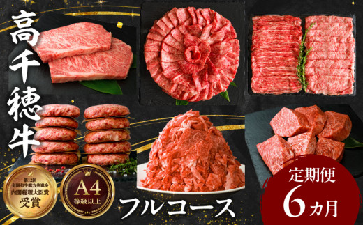 宮崎県産黒毛和牛A4等級以上 高千穂牛フルコース(6ヶ月定期便)| 牛肉 肉 お肉 精肉 定期便 サーロイン ステーキ 焼肉 BBQ ロース カルビ こま肉 小間切れ モモ ハンバーグ しゃぶしゃぶ すき焼き すきしゃぶ 薄切り スライス 国産 セット 詰め合わせ パーティー アウトドア キャンプ グランピング お祝い ギフト プレゼント |_Tk002-t054