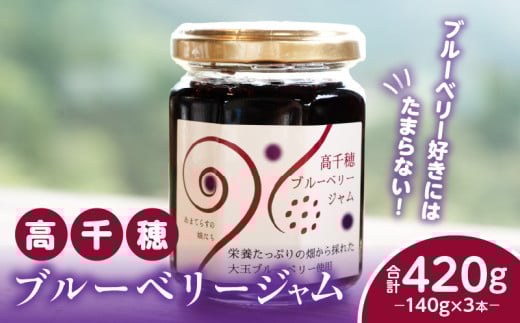 高千穂ブルーベリージャム3本セット | ブルーベリー フルーツ 果物 ジャム ジャムセット マーマレード 手作りジャム パン カナッペ 贈答 贈り物 ギフト 国産 宮崎県産 高千穂町産 特産品 グルメ お取り寄せ おすすめ 瓶 宮崎県 高千穂町 | _Tk050-005