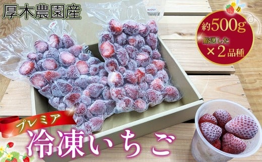 No.1116 厚木農園産 プレミア冷凍いちご(1kg) / 苺 イチゴ 果物 フルーツ 冷凍保存 丁寧 厳選 飯山 厚木市 おやつ デザート 子供 スムージー ヨーグルト お菓子作り 神奈川県