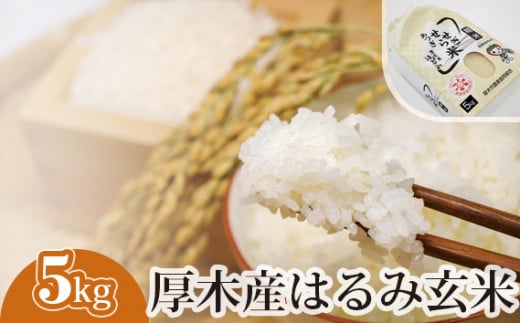 No.302 厚木産はるみ玄米　5kg ／ お米 ブランド米 特A 健康 神奈川県