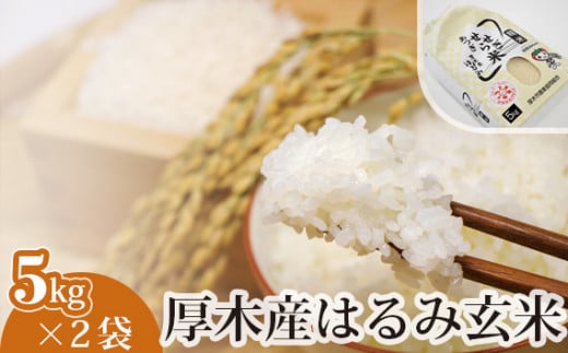 No.305 厚木産はるみ玄米　5kg×2袋 ／ お米 ブランド米 特A 健康 神奈川県