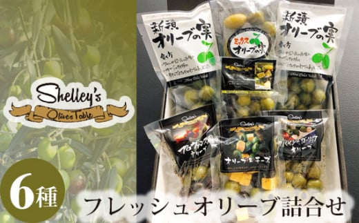 No.483 フレッシュオリーブ詰合せ / オリーブの実 ミックスオリーブ イタリア産オリーブ 神奈川県
