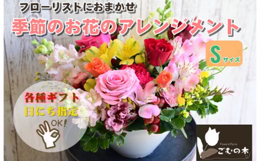 季節のお花のフラワーアレンジメント Sサイズ / ギフト 贈り物 神奈川県