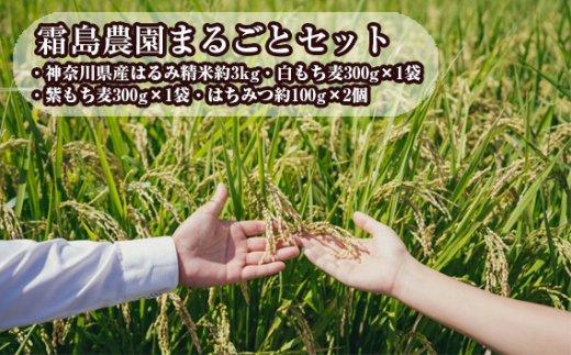 No.832 霜島農園まるごとセット / お米 もち麦 蜂蜜 はちみつ ハチミツ 神奈川県 特産品