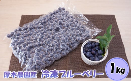 No.840 厚木農園産 プレミア冷凍ブルーベリー(1kg) / 果物 フルーツ 果実 神奈川県 特産品
