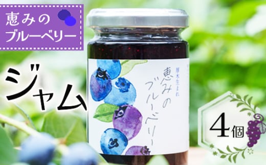 No.1001 ブルーベリージャム「恵みのブルーベリー」4個 / 果物 フルーツ 無添加 無着色 無香料 神奈川県