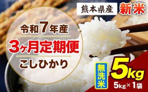 【3ヶ月定期便】令和7年産 定期便 こしひかり 5kg 新米 無洗米 阿蘇 うぶやま 米 定期便 熊本県産 ふるさと納税 精米 ひの 米 こめ ふるさとのうぜい コシヒカリ コメ お米 おこめ《11月から出荷開始》