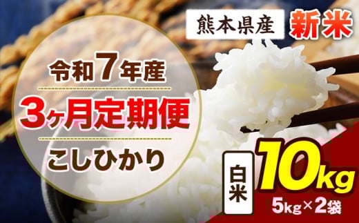 【3ヶ月定期便】令和7年産 定期便 こしひかり 10kg 新米 白米 阿蘇 うぶやま 米 定期便 熊本県産 ふるさと納税 精米 ひの 米 こめ ふるさとのうぜい コシヒカリ コメ お米 おこめ《11月から出荷開始》