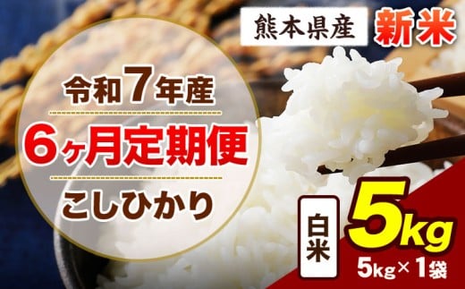 【6ヶ月定期便】令和7年産 定期便 こしひかり 5kg 新米 白米 阿蘇 うぶやま 米 定期便 熊本県産 ふるさと納税 精米 ひの 米 こめ ふるさとのうぜい コシヒカリ コメ お米 おこめ《11月から出荷開始》