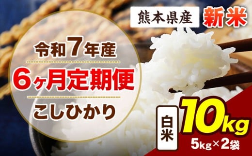 【6ヶ月定期便】令和7年産 定期便 こしひかり 10kg 新米 白米 阿蘇 うぶやま 米 定期便 熊本県産 ふるさと納税 精米 ひの 米 こめ ふるさとのうぜい コシヒカリ コメ お米 おこめ《11月から出荷開始》