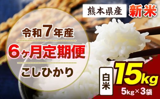 【6ヶ月定期便】令和7年産 定期便 こしひかり 15kg 新米 白米 阿蘇 うぶやま 米 定期便 熊本県産 ふるさと納税 精米 ひの 米 こめ ふるさとのうぜい コシヒカリ コメ お米 おこめ《11月から出荷開始》
