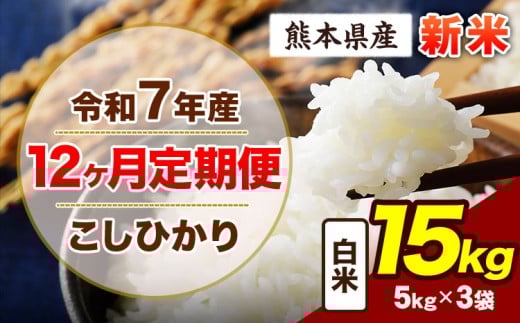 【12ヶ月定期便】令和7年産 定期便 こしひかり 15kg 新米 白米 阿蘇 うぶやま 米 定期便 熊本県産 ふるさと納税 精米 ひの 米 こめ ふるさとのうぜい コシヒカリ コメ お米 おこめ《11月から出荷開始》