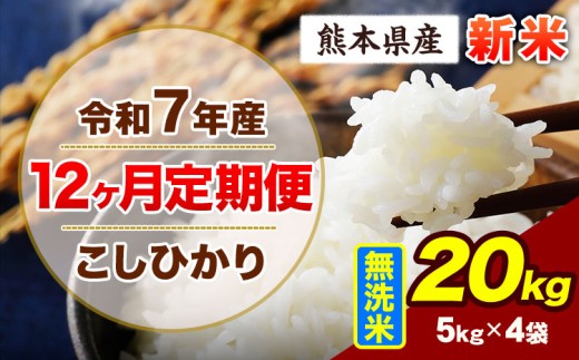 【12ヶ月定期便】令和7年産 定期便 こしひかり 20kg 新米 無洗米 阿蘇 うぶやま 米 定期便 熊本県産 ふるさと納税 精米 ひの 米 こめ ふるさとのうぜい コシヒカリ コメ お米 おこめ《11月から出荷開始》