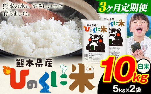 【3ヶ月定期便】 白米 ひのくに米 10kg 《11月から出荷開始》 食品 米 こめ コメ 熊本県産 ふるさと納税 お米 おこめ 熊本