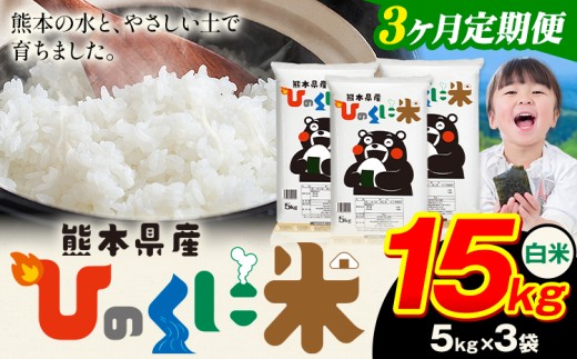 【3ヶ月定期便】 白米 ひのくに米 15kg 《11月から出荷開始》 食品 米 こめ コメ 熊本県産 ふるさと納税 お米 おこめ 熊本