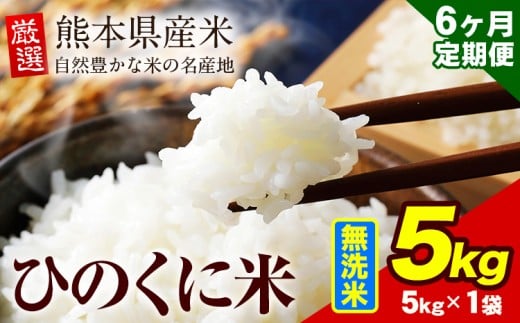 [6ヶ月定期便] 無洗米 ひのくに米 5kg [お申込み月の翌月から出荷開始] 食品 米 こめ コメ 熊本県産 ふるさと納税 お米 おこめ 熊本