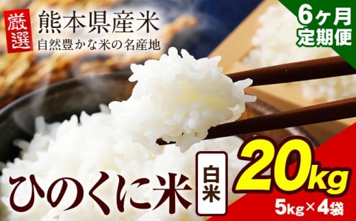 [6ヶ月定期便] 白米 ひのくに米 20kg [お申込み月の翌月から出荷開始] 食品 米 こめ コメ 熊本県産 ふるさと納税 お米 おこめ 熊本