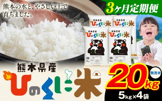 【3ヶ月定期便】 無洗米 ひのくに米 20kg 《11月から出荷開始》 食品 米 こめ コメ 熊本県産 ふるさと納税 お米 おこめ 熊本