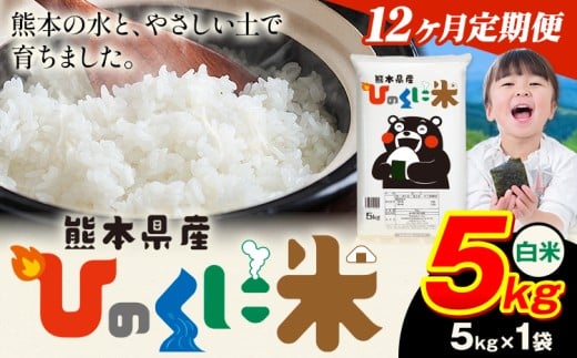 【12ヶ月定期便】 白米 ひのくに米 5kg 《11月から出荷開始》 食品 米 こめ コメ 熊本県産 ふるさと納税 お米 おこめ 熊本