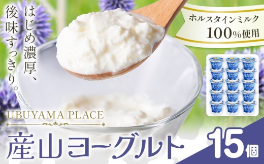 ホルスタインミルク 100% 使用 産山ヨーグルト15個 株式会社UBUYAMAPLACE《30日以内に出荷予定(土日祝除く)》熊本県 阿蘇郡 産山村 ヨーグルト 乳製品 ホルスタイン 朝食 おやつ デザート