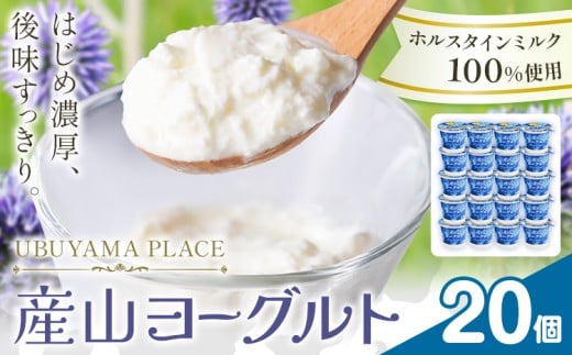 ホルスタインミルク 100% 使用 産山ヨーグルト20個 株式会社UBUYAMAPLACE《30日以内に出荷予定(土日祝除く)》熊本県 阿蘇郡 産山村 ヨーグルト 乳製品 ホルスタイン 朝食 おやつ デザート