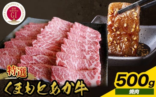 厳選 GI認証 くまもと あか牛 特選 焼肉 500g 桜屋《30日以内に出荷予定(土日祝除く)》 熊本県 産山村 肉 焼肉 GI認証 送料無料