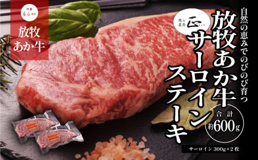阿蘇うぶやま村の放牧あか牛サーロインステーキ《60日以内に出荷予定(土日祝除く)》