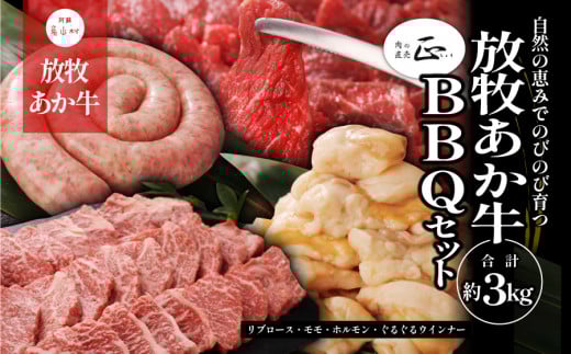 阿蘇うぶやま村の放牧あか牛BBQセット《60日以内に出荷予定(土日祝除く)》