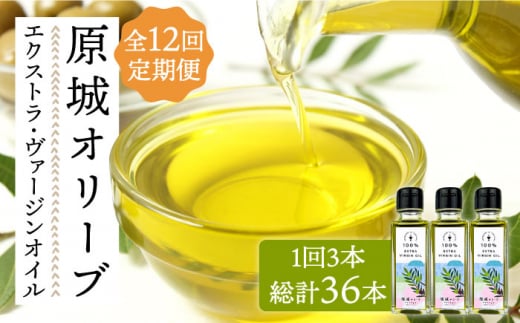 【12回定期便】 原城 オリーブ エクストラ・ヴァージンオイル  100ml 3本 / オリーブオイル オイル 油 調味料 / 南島原市 / ミナサポ [SCW059]