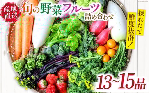 新鮮 「旬の野菜・フルーツ」 詰め合わせ セット（13品〜15品）/ 野菜 やさい 野菜セット やさいセット 春野菜 夏野菜 秋野菜 冬野菜 旬新鮮 / 南島原市 /長崎県農産品流通合同会社 [SCB090]